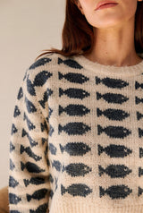 Pull FAUVE